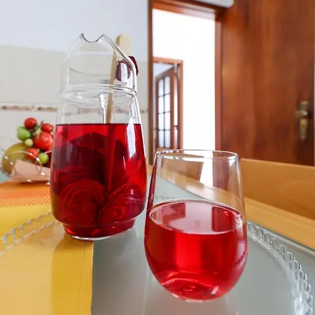 Casas Com Amoras In Serra Da Pescaria 펜션 Famalicão